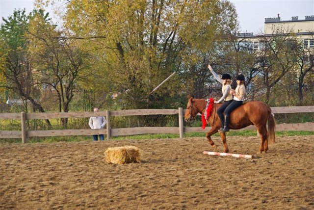 Hubertus 2009
